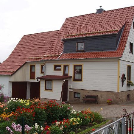 Ferienwohnungen Riessling Elend Luaran gambar