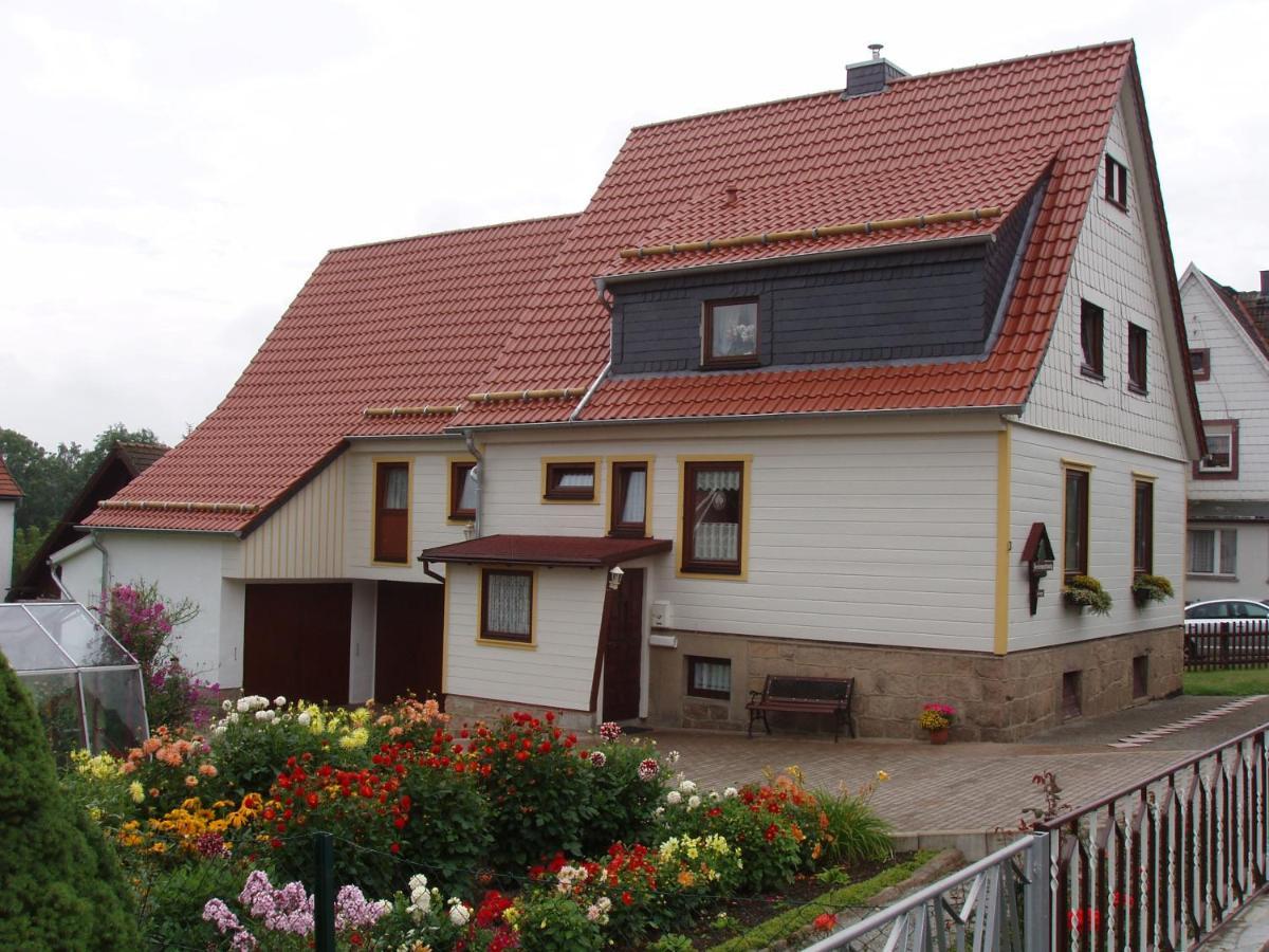 Ferienwohnungen Riessling Elend Luaran gambar